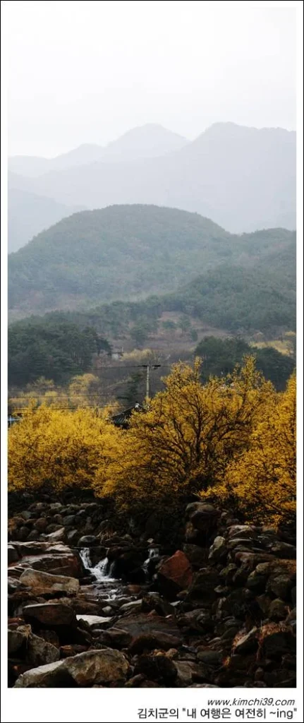 사용자 삽입 이미지