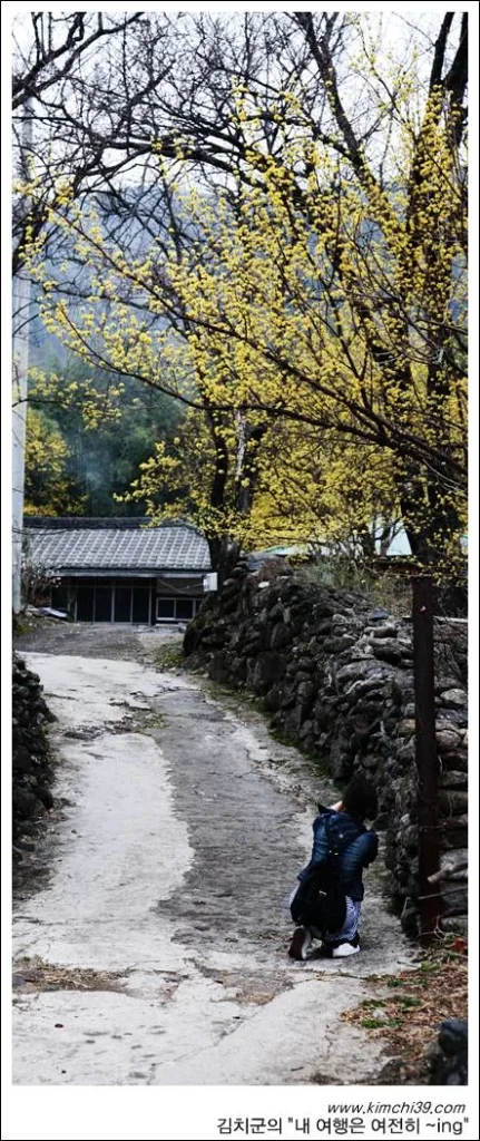 사용자 삽입 이미지