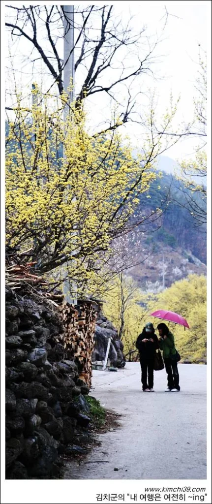 사용자 삽입 이미지