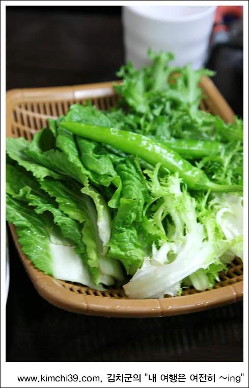 사용자 삽입 이미지