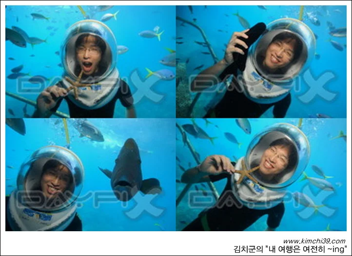 사용자 삽입 이미지