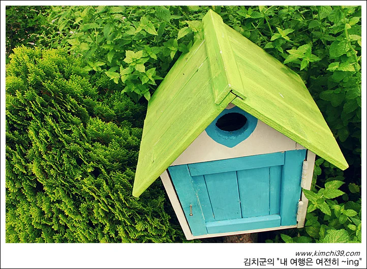 사용자 삽입 이미지