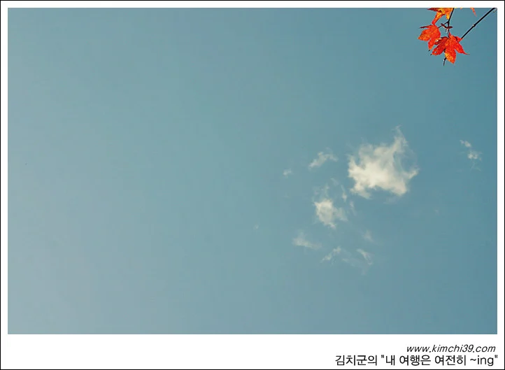 사용자 삽입 이미지