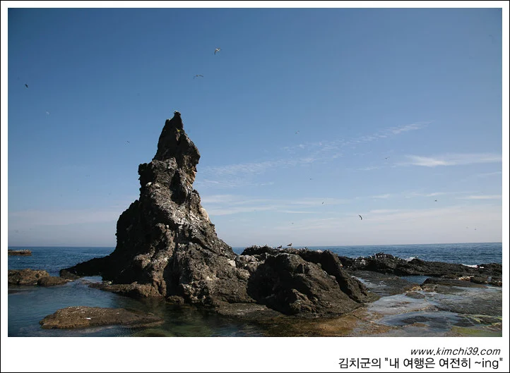 사용자 삽입 이미지