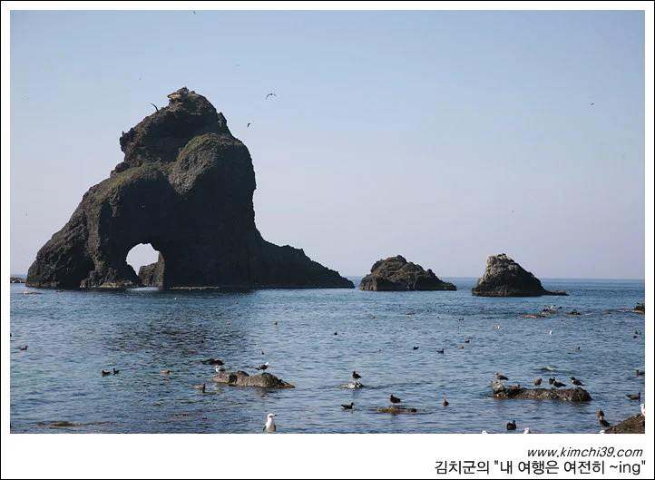 사용자 삽입 이미지