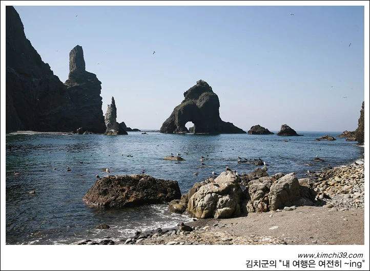 사용자 삽입 이미지