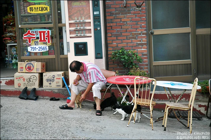 사용자 삽입 이미지