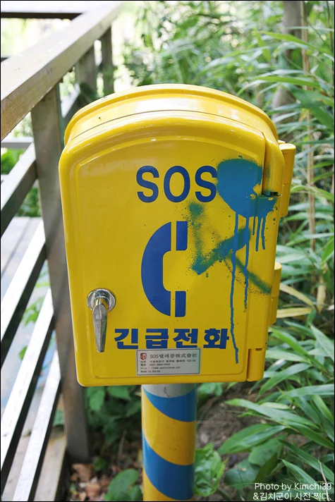 사용자 삽입 이미지