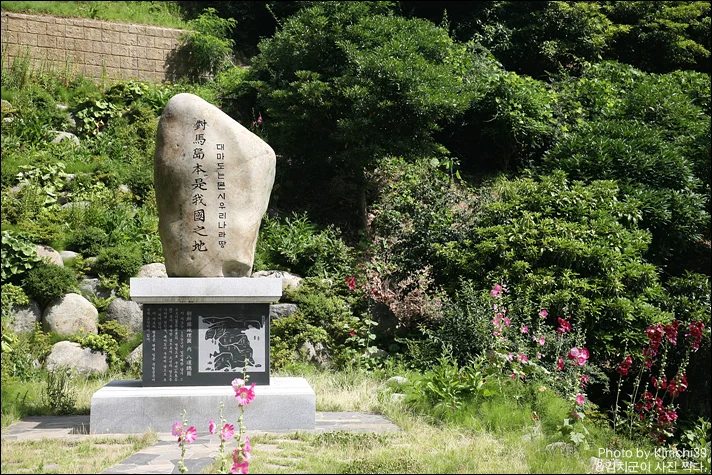 사용자 삽입 이미지
