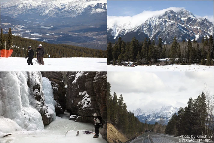 캐나다 기차 비아레일 오로라 Canada Viarail Aurora train
