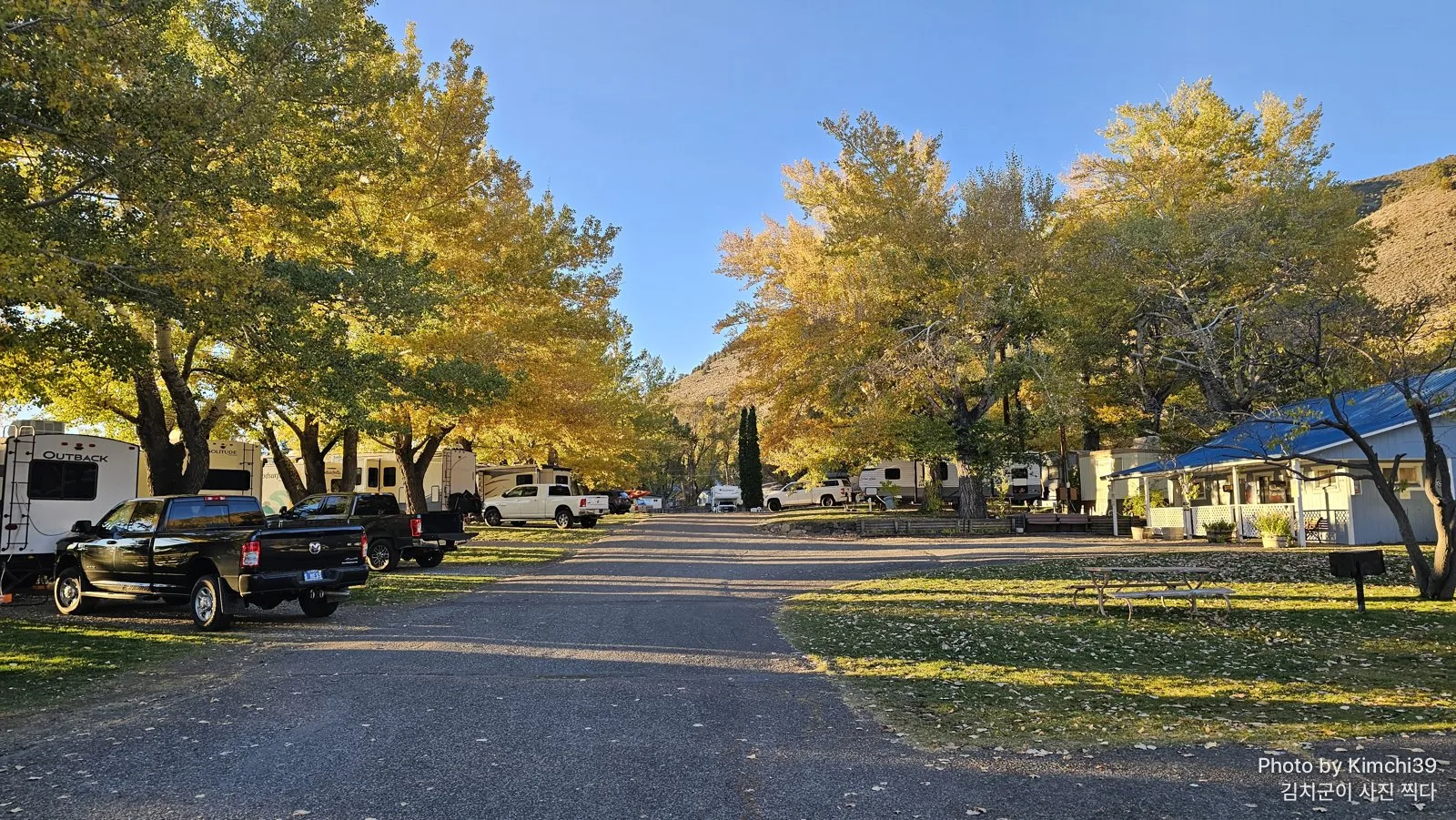 노랗게 물든 나무가 있는 아침의 모노 비스타 RV 파크