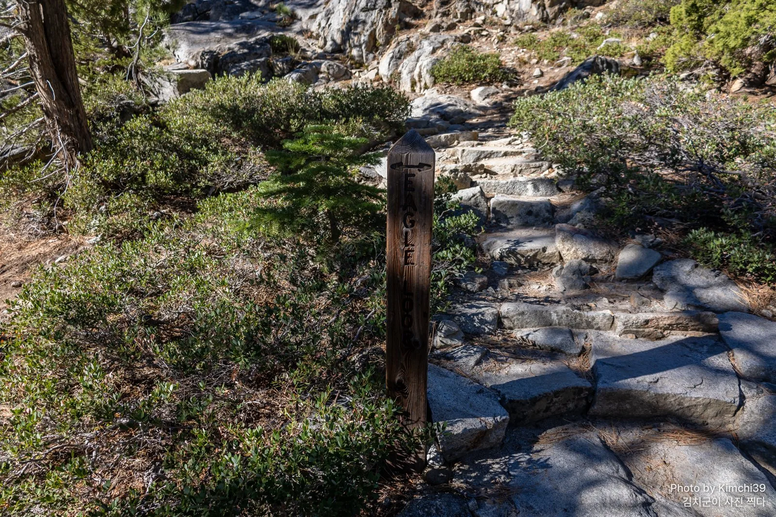 EAGLE FALLS 표지 기둥